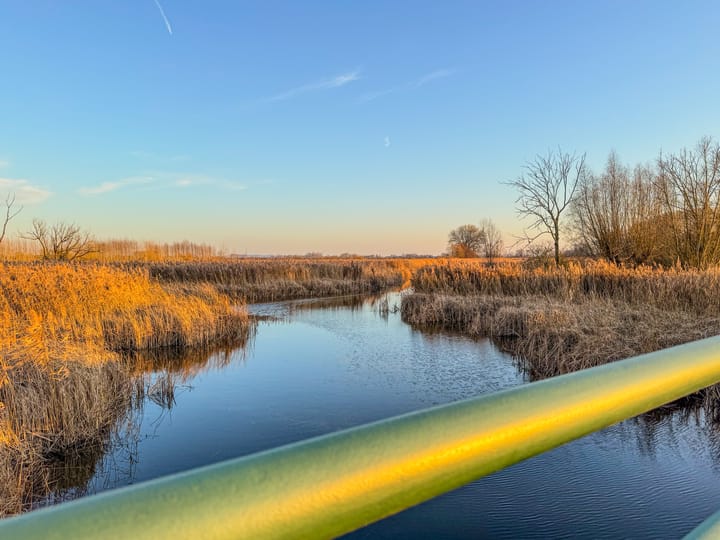 Photo 58 of Burgemeester Cremersplein 11