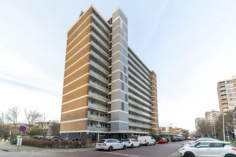 Teunisbloemplein thumbnail