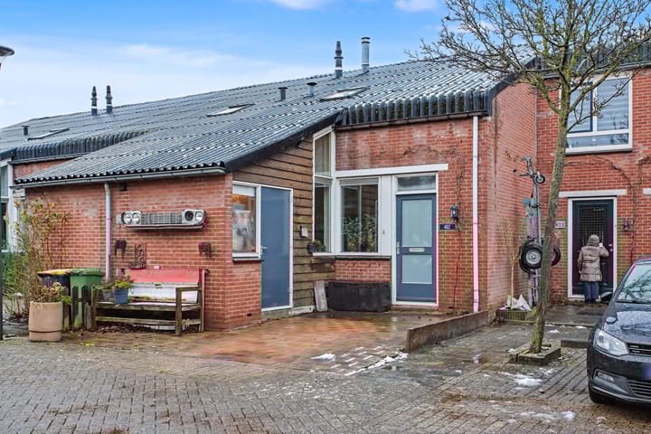 Foto 2 van Zebraspoor 402