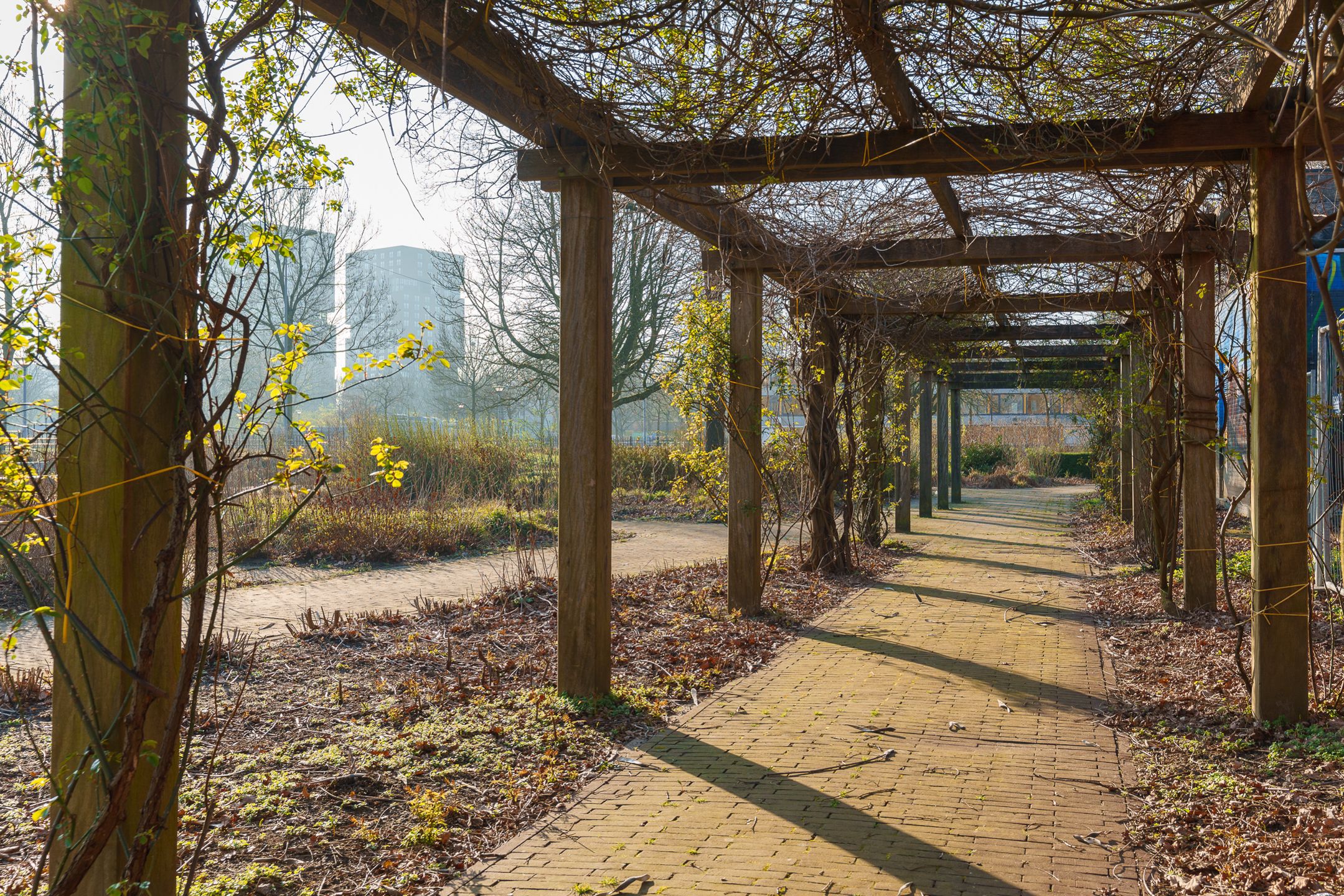 Foto 27 van Europaplein 802