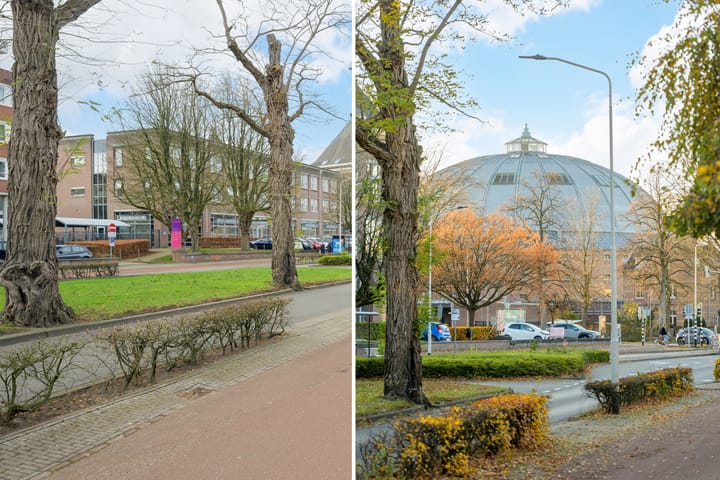 Foto 40 van Loopschansstraat 103-A