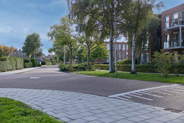 Foto 46 van Witte de Withlaan 25