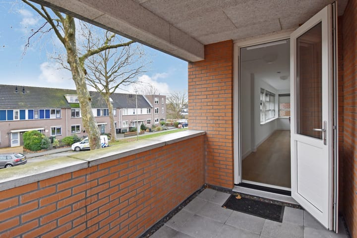 Foto 31 van Algengroen 6-B