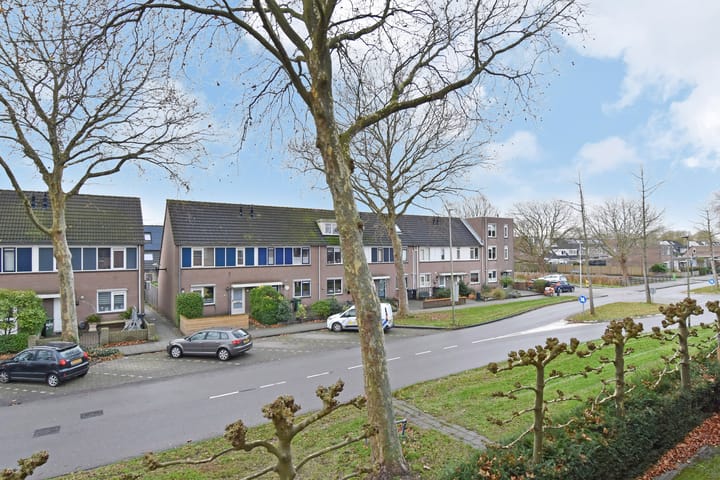 Foto 32 van Algengroen 6-B