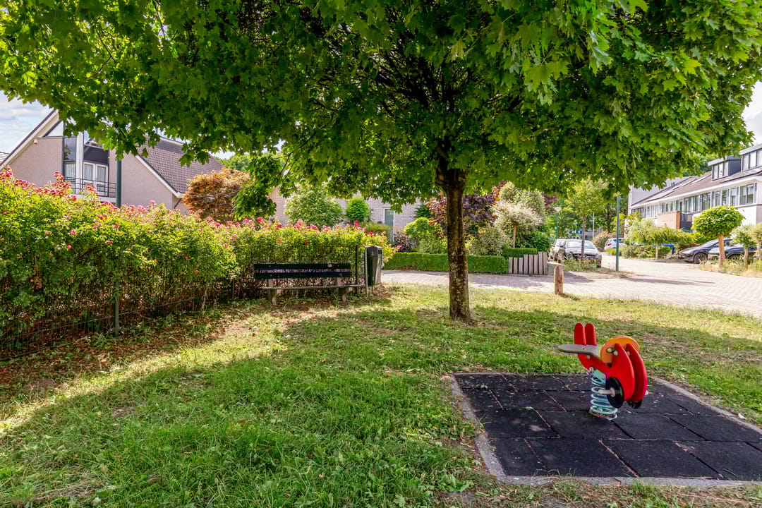 Photo 61 of Hemelvuur 16