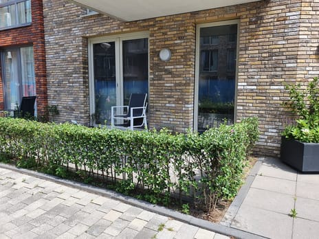 Sigmaplantsoen thumbnail