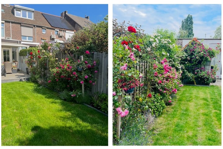 Foto 18 van Meerssenerweg 65-B