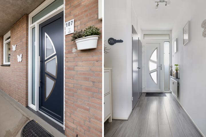 Photo 13 of Haringvlietstraat 107