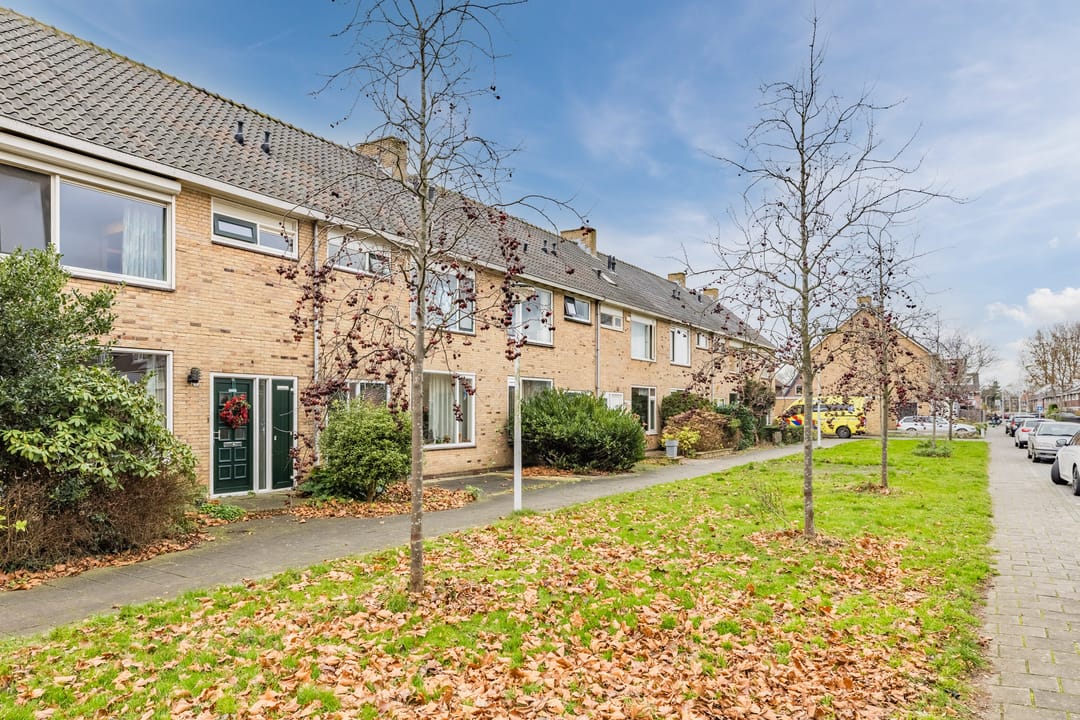 Foto 31 van Jean Henri Dunantstraat 20