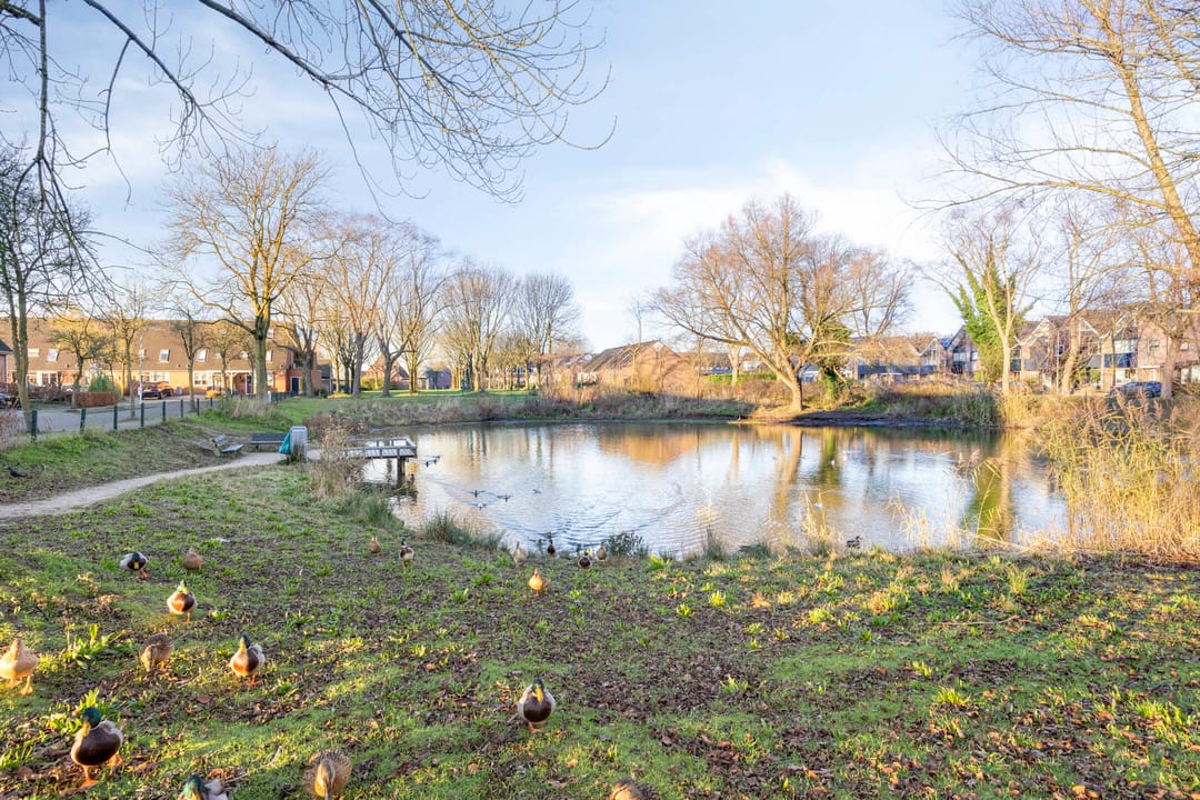 Foto 32 van Everlaan 23