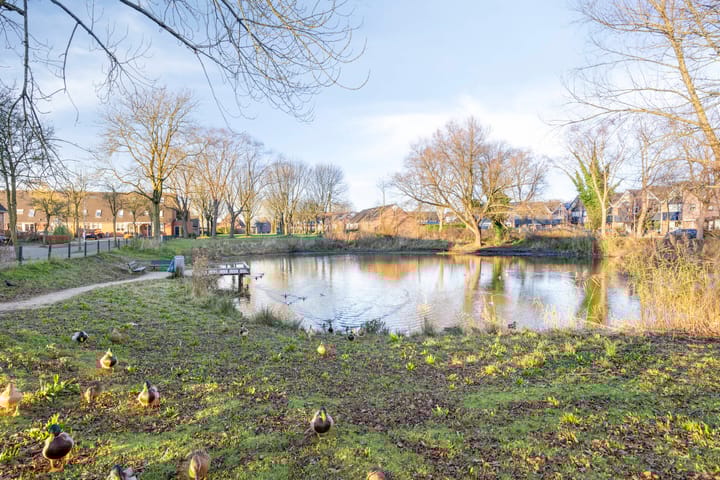 Foto 32 van Everlaan 23