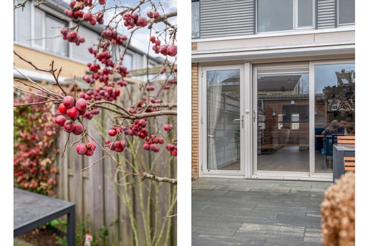 Photo 34 of De Goeijenmarke 11