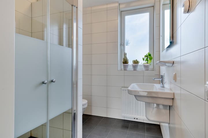 Foto 8 van Biesheuvelstraat 8