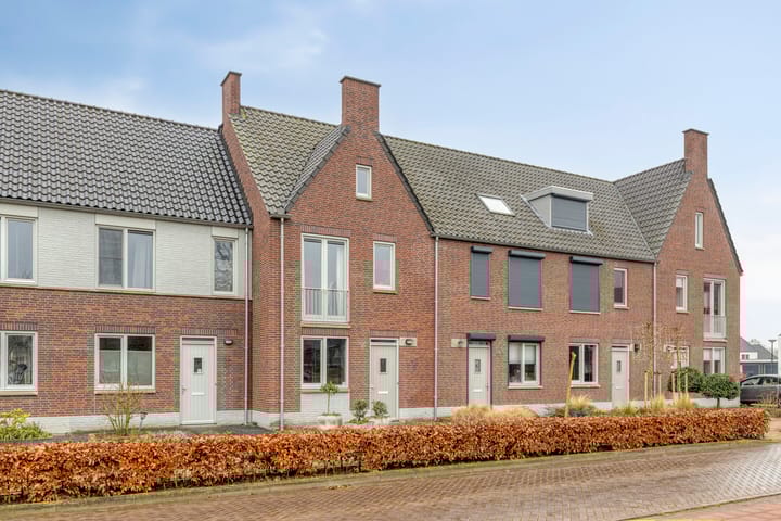 Foto 41 van Biesheuvelstraat 8