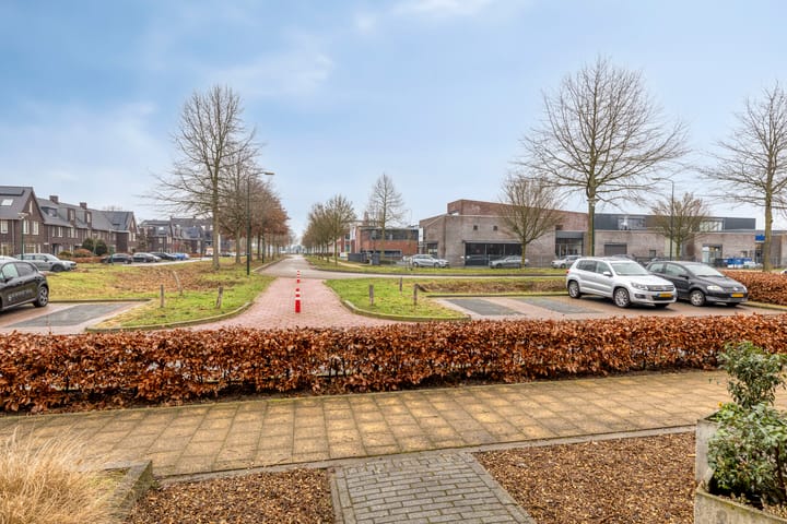 Foto 44 van Biesheuvelstraat 8