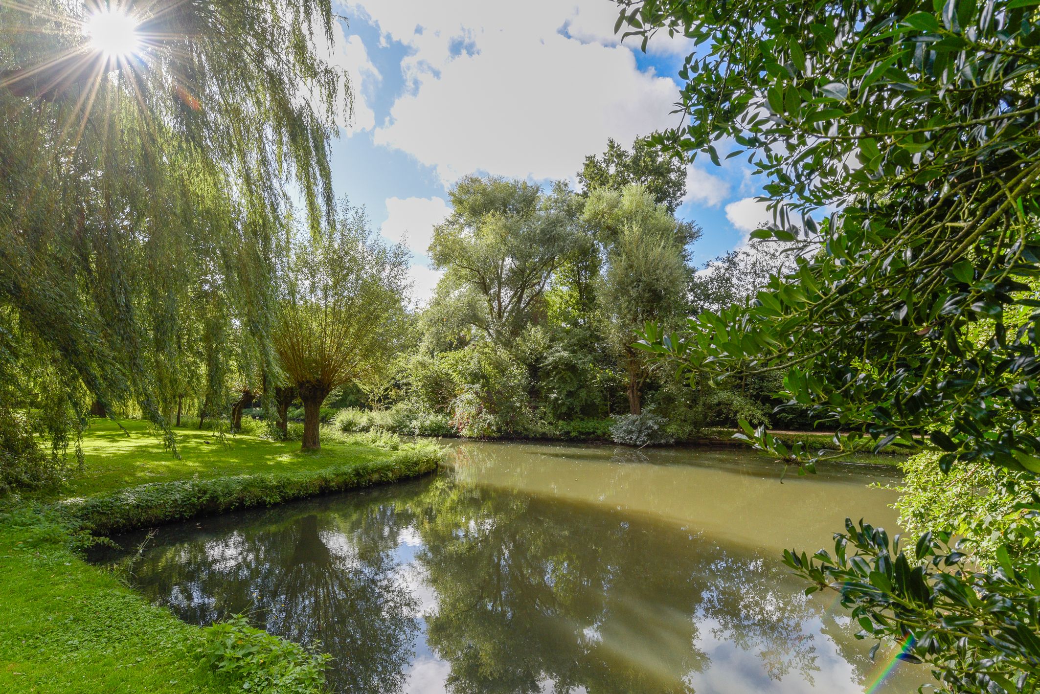 Photo 51 of van Halewijnlaan 166