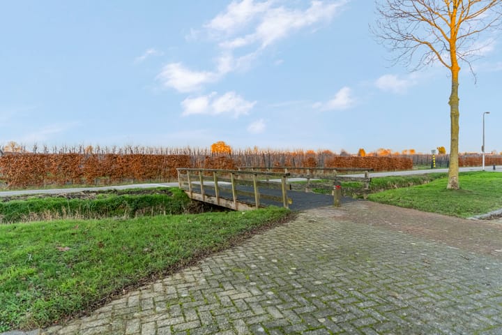 Foto 58 van Het Woud 29