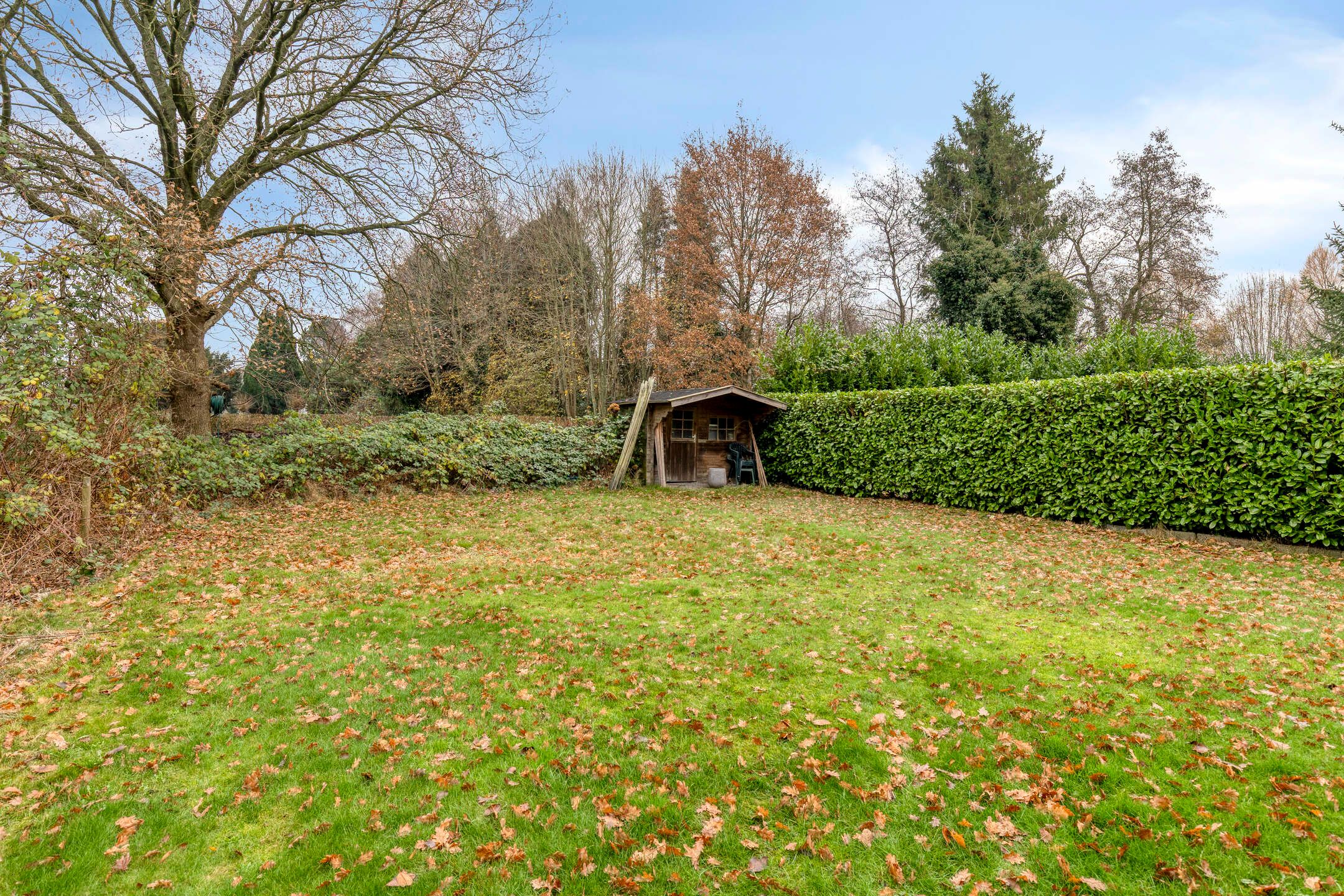 Foto 45 van Wedderweg 41