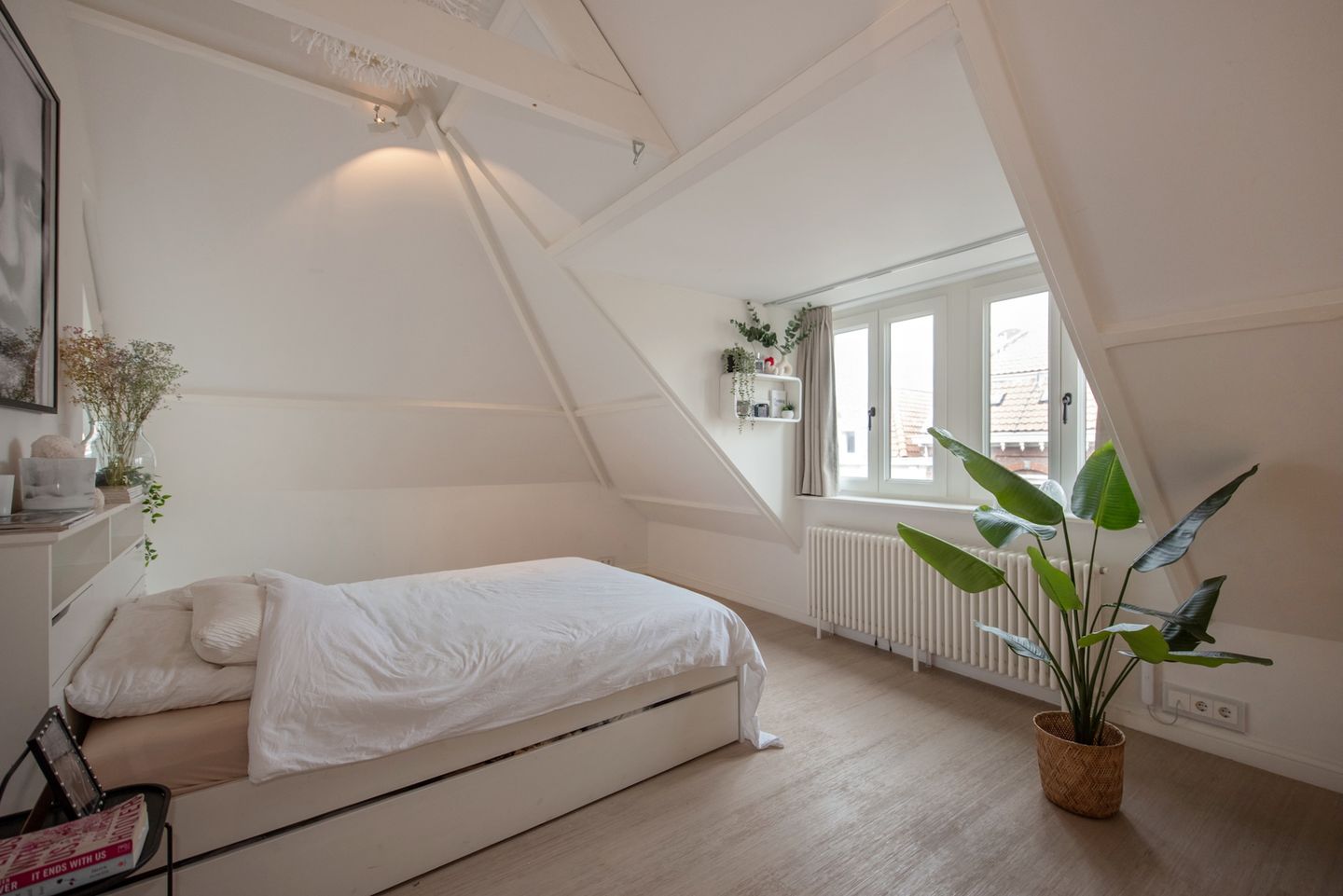 Foto 49 van Balistraat 100