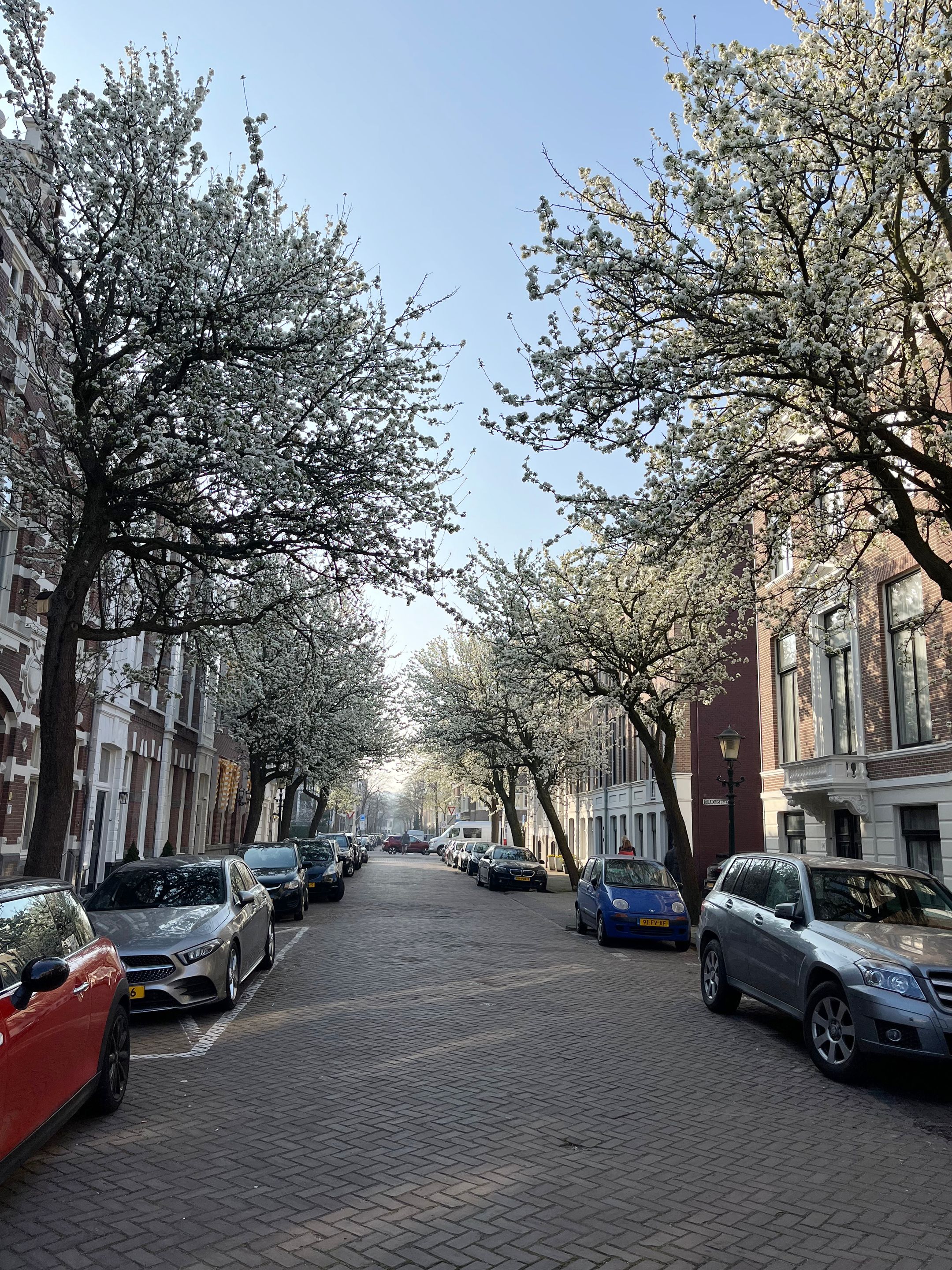 Foto 78 van Balistraat 100