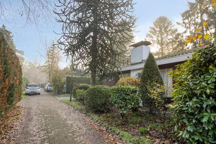 Foto 2 van Schaluinen 11-B298