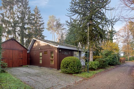 Schaluinen thumbnail