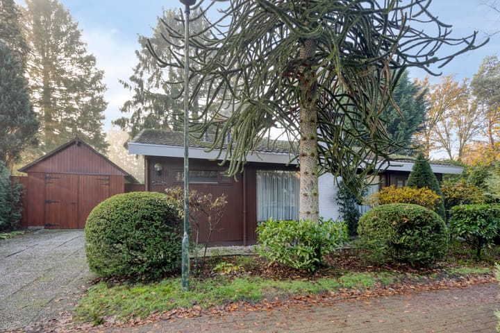 Foto 3 van Schaluinen 11-B298