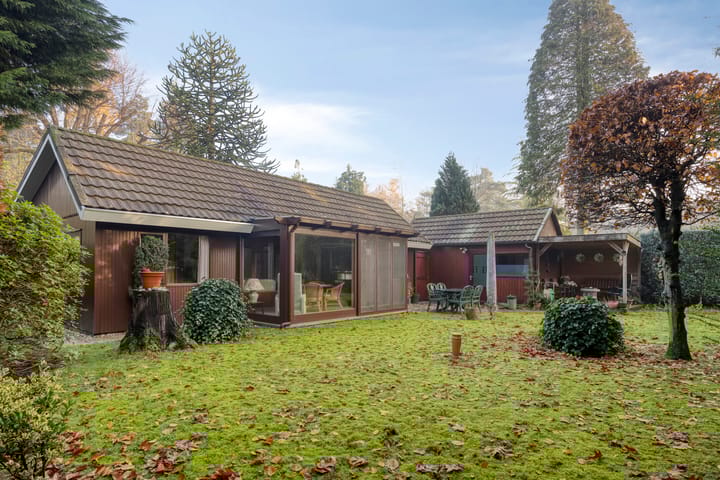 Foto 29 van Schaluinen 11-B298