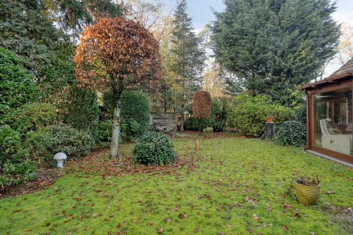 Foto 33 van Schaluinen 11-B298