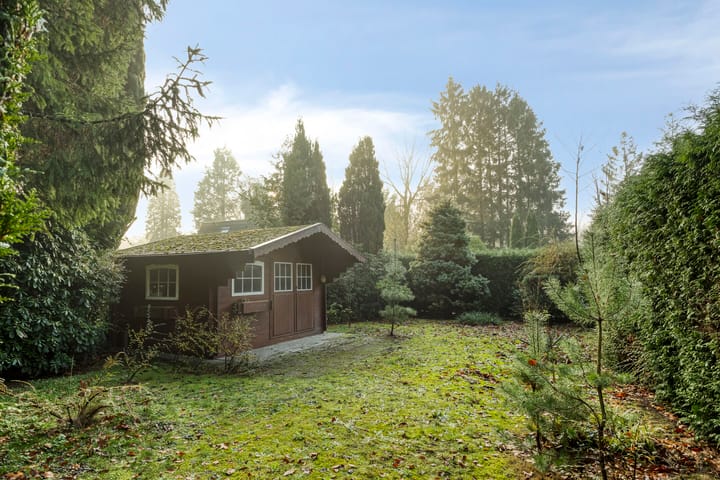 Foto 36 van Schaluinen 11-B298