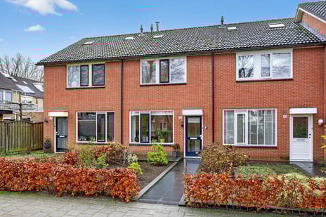 undefined main image