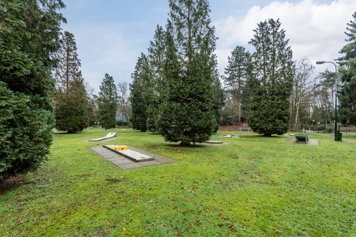 Foto 39 van Schaluinen 11-B298