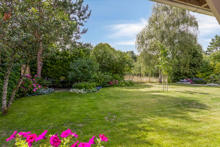 Photo 4 of Hogezoom 33