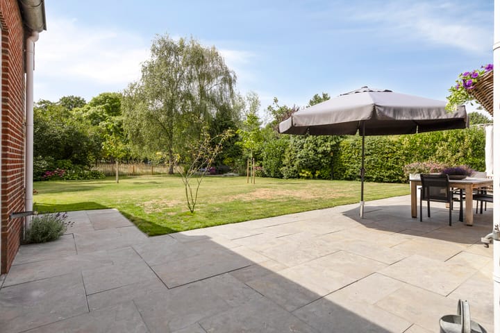 Photo 22 of Hogezoom 33