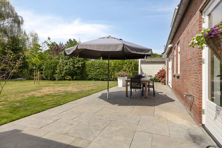 Photo 23 of Hogezoom 33