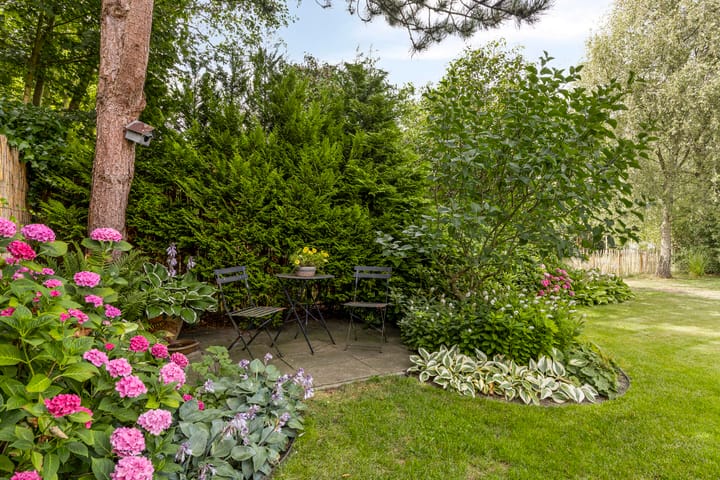 Photo 30 of Hogezoom 33