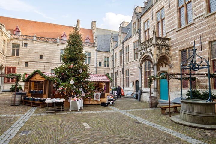 Foto 31 van Weverskat 8