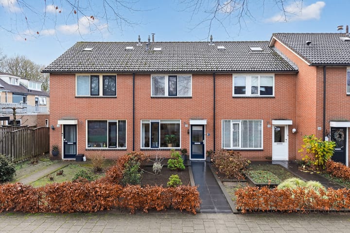 Foto 43 van Pastoor Petersstraat 50