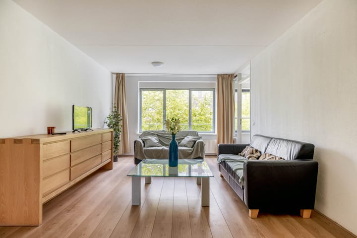 Willem Molenbroekplein 19