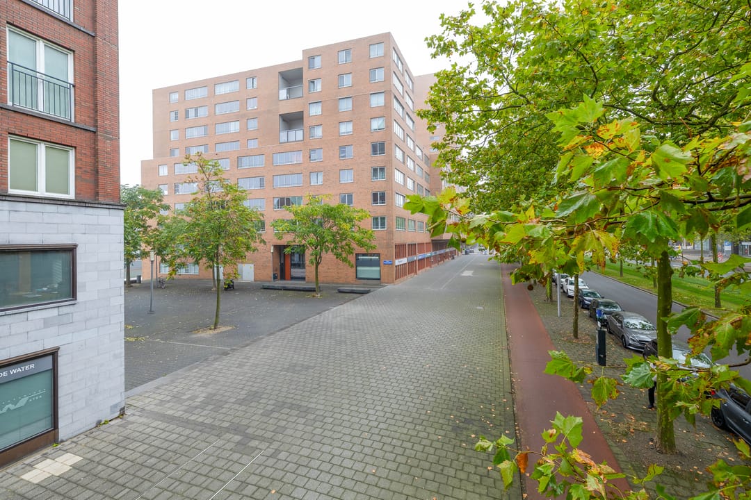 Foto 11 van Willem Molenbroekplein 19