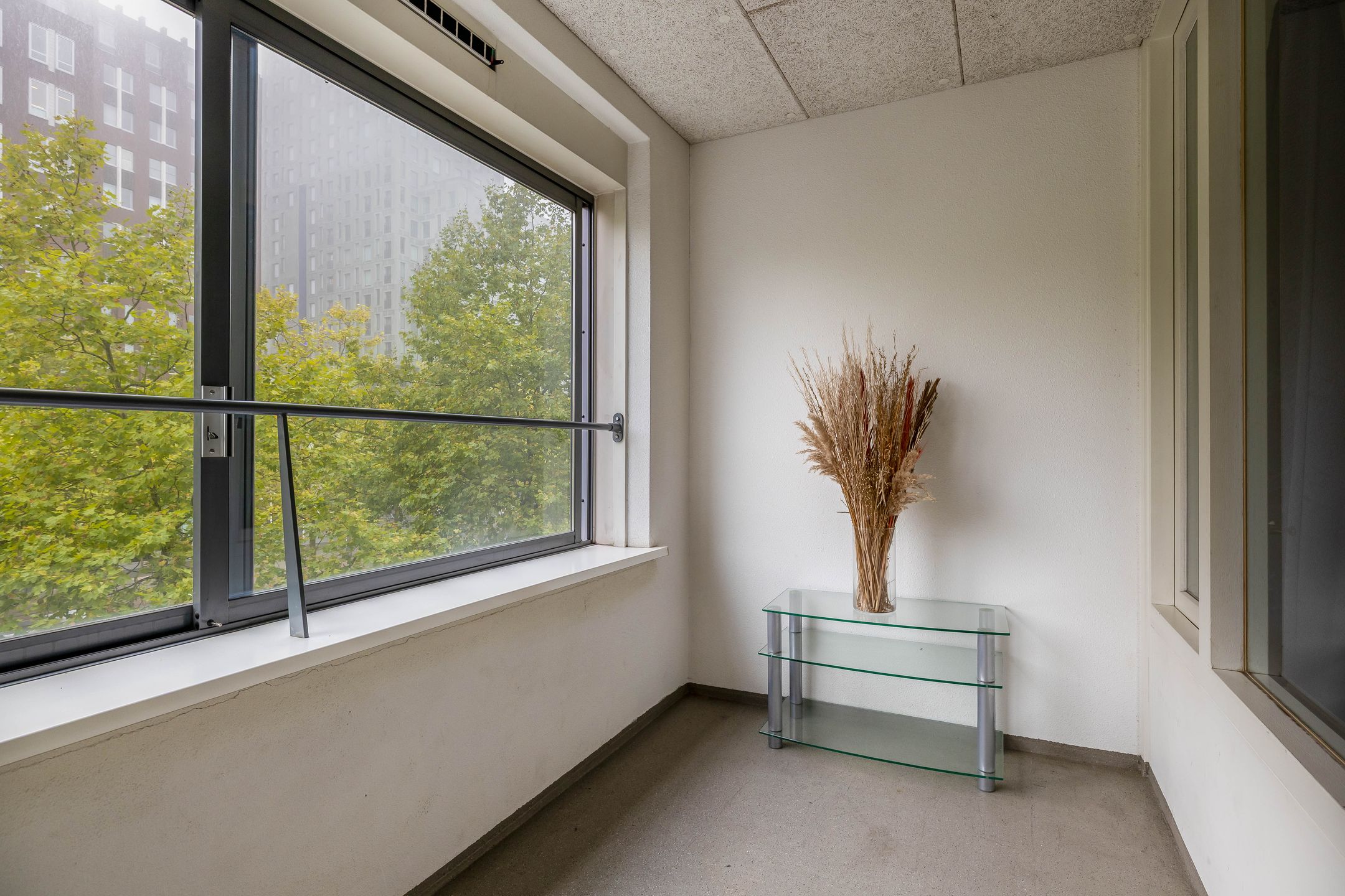 Foto 27 van Willem Molenbroekplein 19