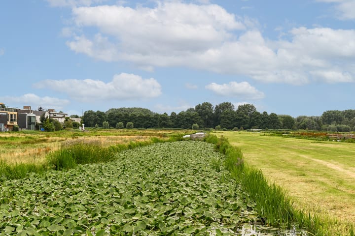 Foto 37 van Louis Couperusstraat 7