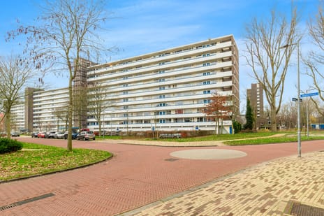 Honthorstlaan thumbnail