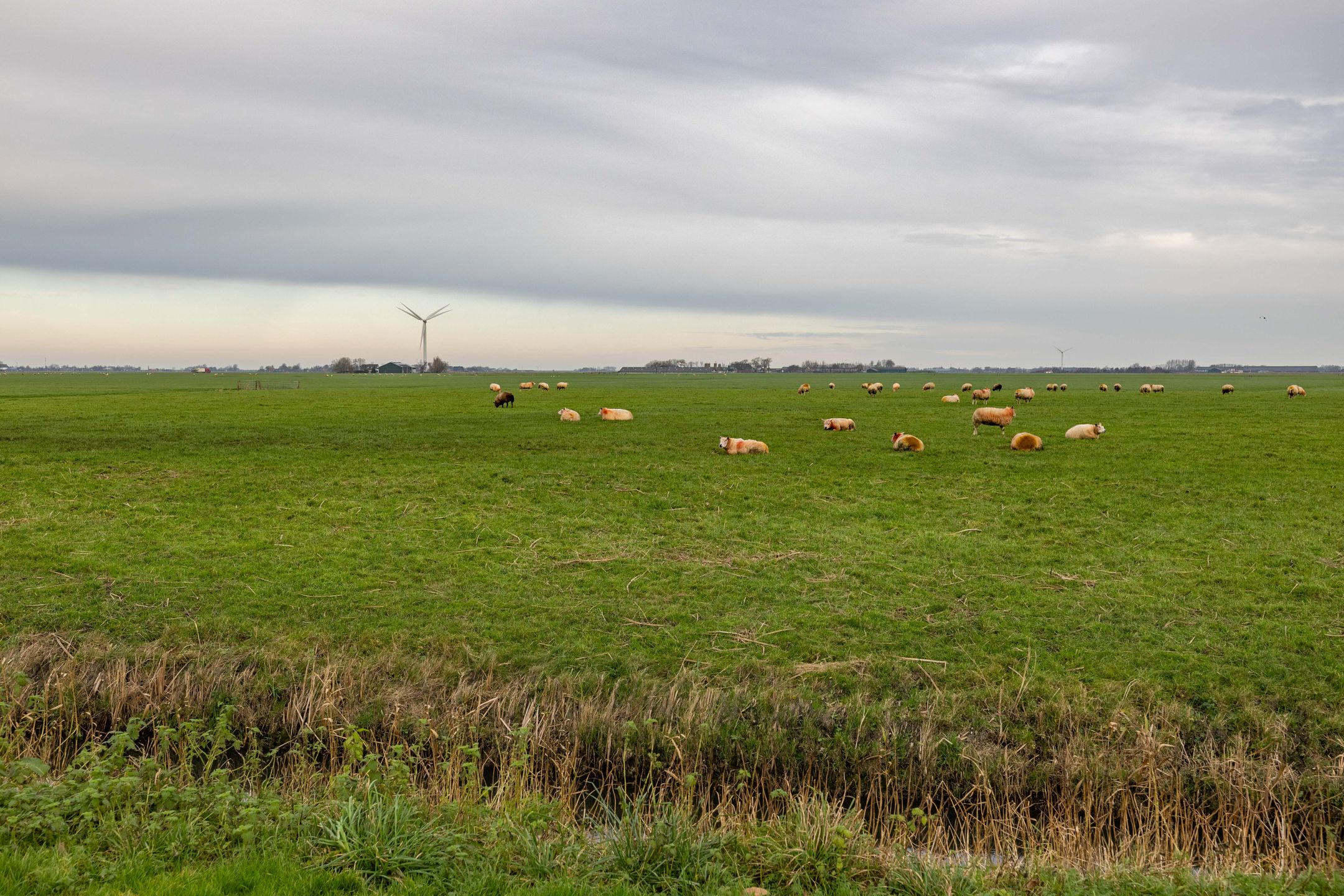 Foto 9 van Flieterpsterdyk 15