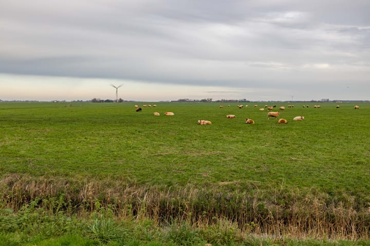 Foto 9 van Flieterpsterdyk 15