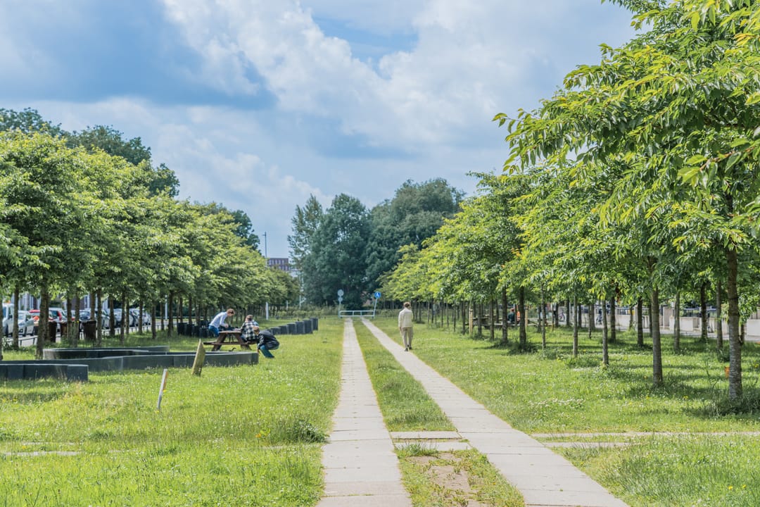 Foto 56 van Korianderstraat 132