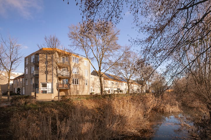 Bellomontedomein 104-A main image