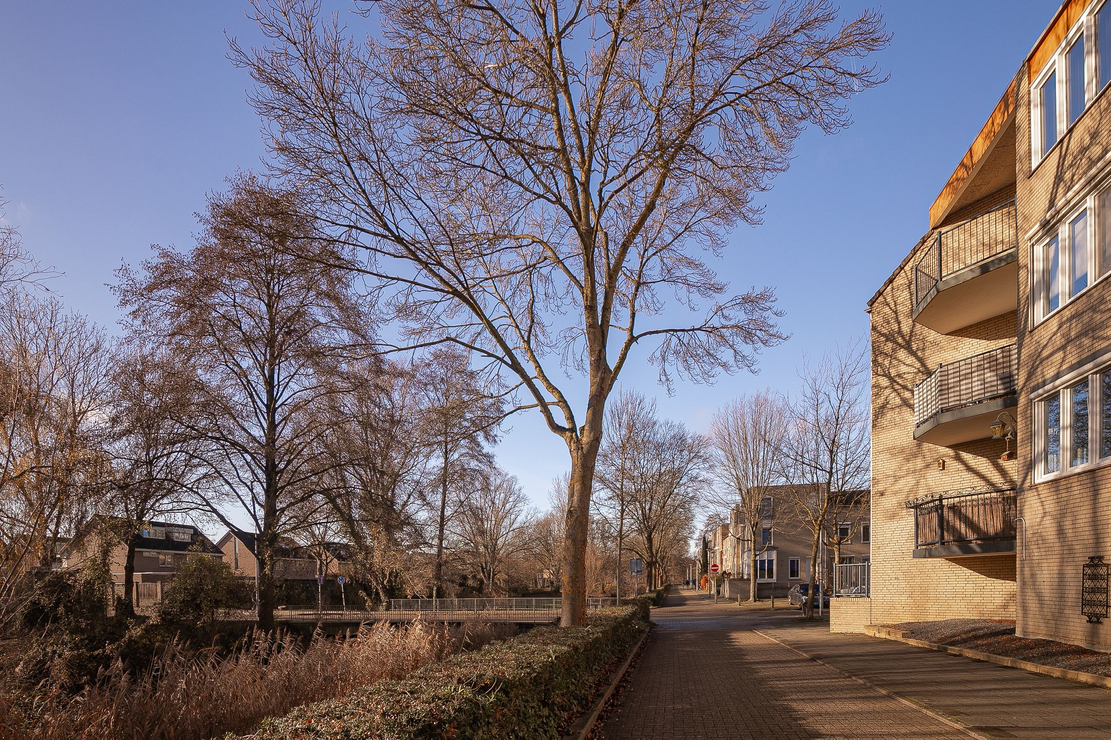 Foto 18 van Bellomontedomein 104-A