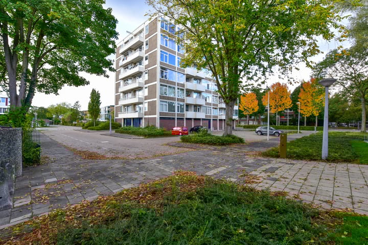 Foto 19 van Van Boshuizenstraat 501