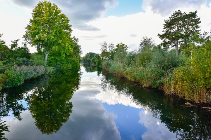 Foto 21 van Van Boshuizenstraat 501